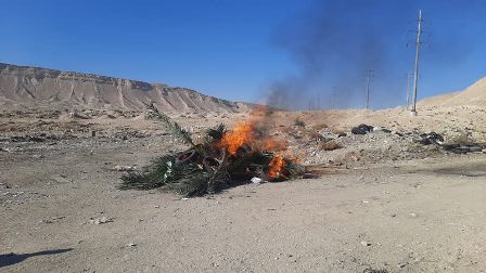 امحاء نخل 1402 برج 10