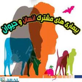 بیماری مشترک 2