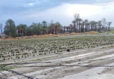 خسارت سیل 1401 مرداد
