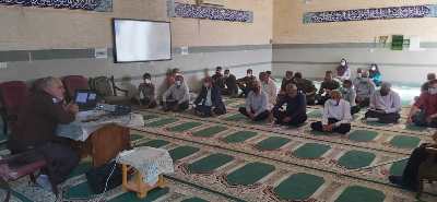 سر خرطومی سعیدی