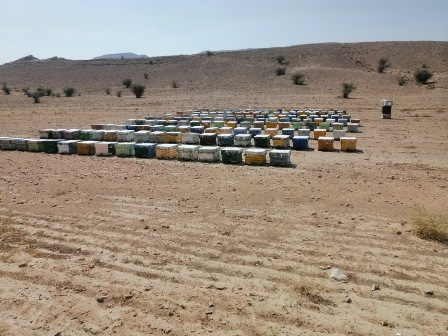 سرشماری زنبورداران
