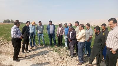 فوذ دانش 1402